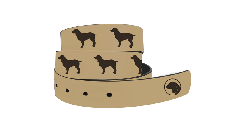 Brown Dog Belt